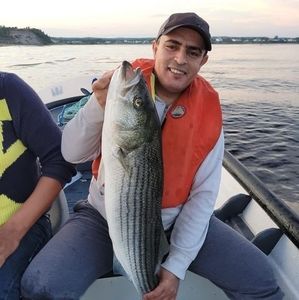 Meet your Posher, Maher